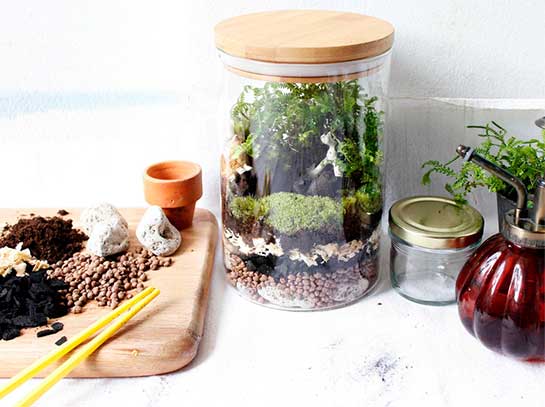DIY จัดสวนในขวดแก้ว