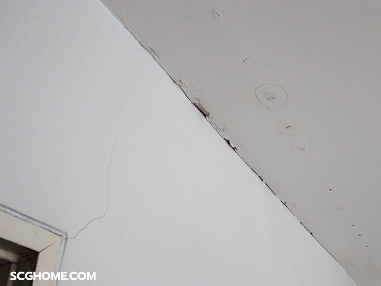 รีวิวบริการ Top Up Roof ซ่อมหลังคารั่วทาวน์เฮาส์ จบ ง่าย ไม่กระทบเพื่อนบ้าน