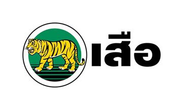 ปูนเสือมอร์ตาร์