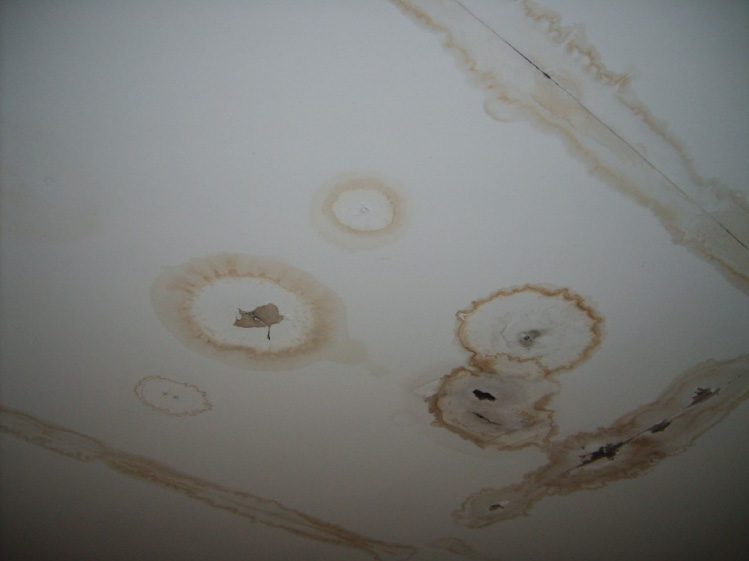 รู้จัก 5 จุดเสี่ยง เพื่อเลี่ยงปัญหาหลังคารั่วซึม