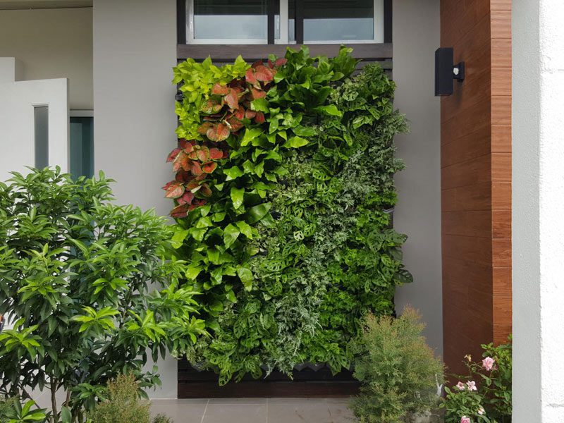 8 ทริคแต่งสวน กี่แดดกี่ฝน ก็สวยไม่จาง