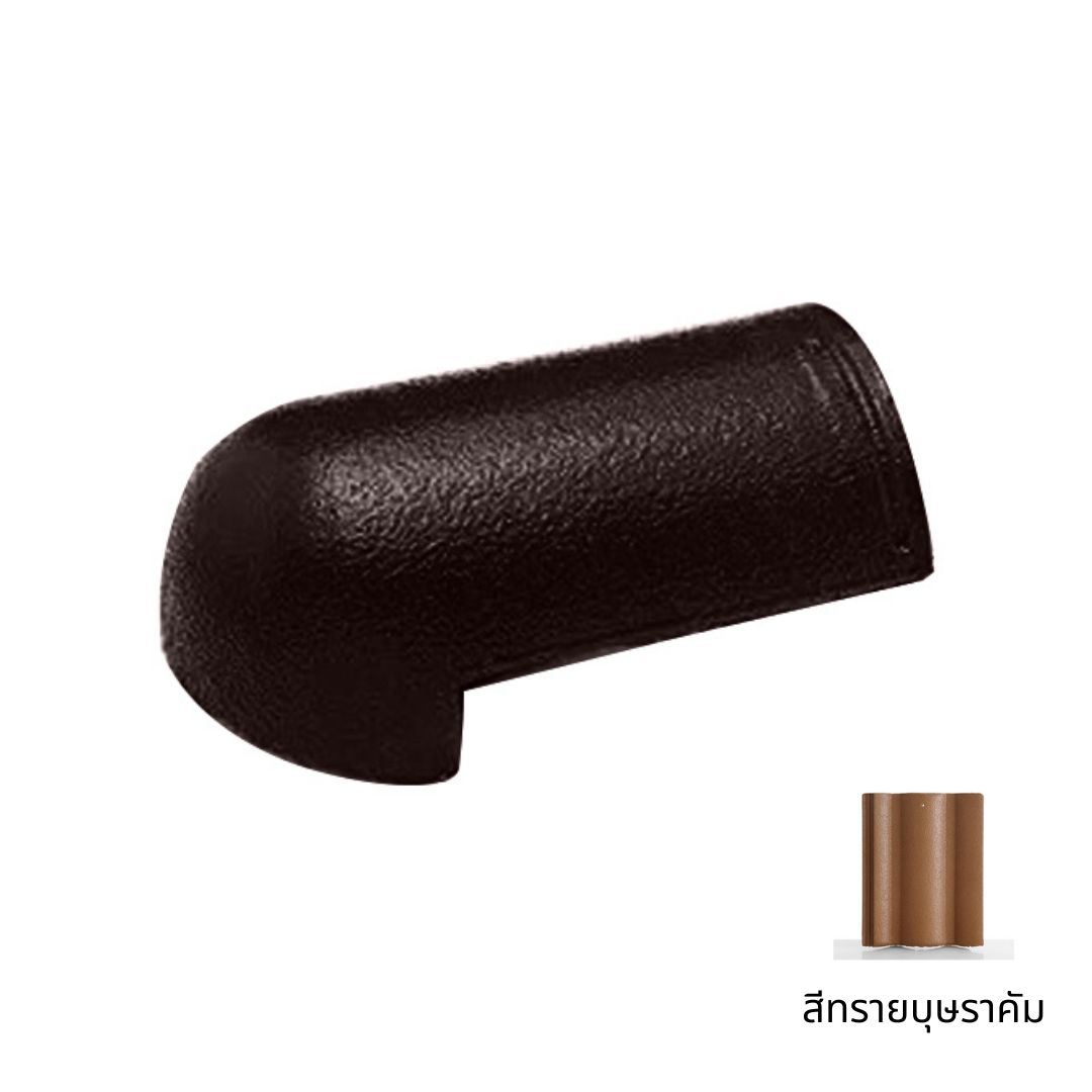 ครอบโค้งหางมน หลังคาคอนกรีต SCG รุ่น ซีแพค สีเทานกพิราบ ขนาด 22x33x22 ซม.