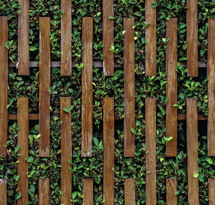 รั้วระแนงไม้ ระแนงบังตา เลือกตีระแนงแบบไหนดี 07