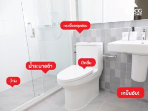 รวมปัญหาห้องน้ำ พบบ่อย แก้ไขได้