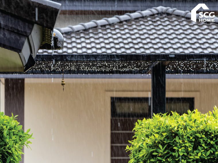 ปัญหาหลังคาหน้าฝน รวมเรื่องป่วนๆ เกี่ยวกับหลังคา