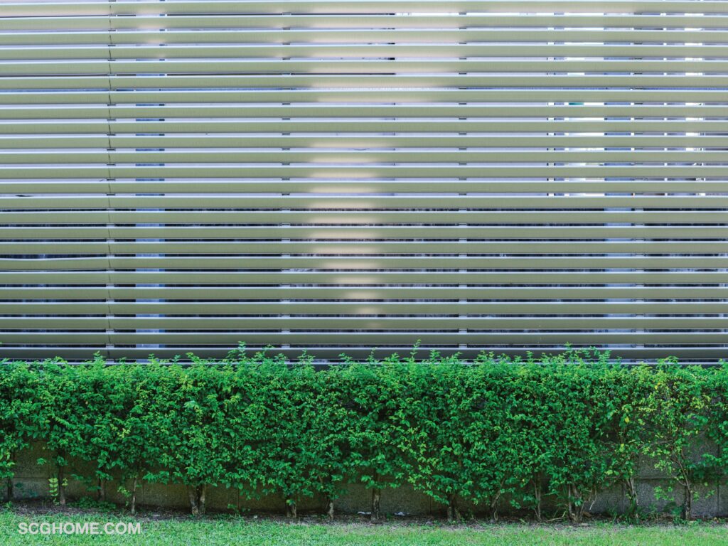 ภาพ: รั้วลูกผสมระหว่างไม้เทียมและรั้วปูน เพิ่มความร่มรื่นด้วยการปลูกต้นไม้