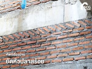 ศัพท์เรื่องบ้าน ยัดหัวปลาสร้อย
