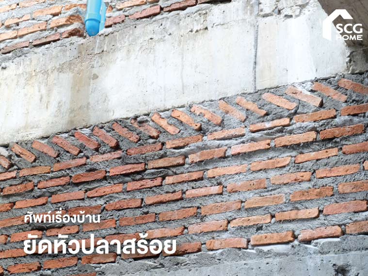 ศัพท์เรื่องบ้าน ยัดหัวปลาสร้อย