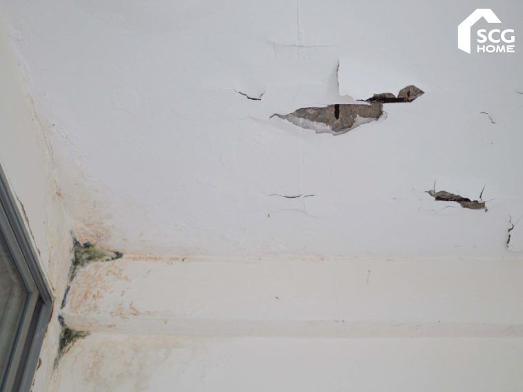 ปัญหาหลังคาดาดฟ้ารั่ว