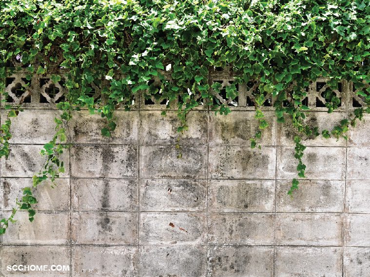 รั้วก่ออิฐบล็อกกับรั้วคอนกรีตสำเร็จรูป