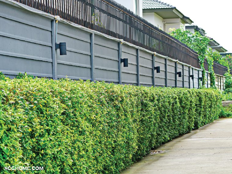 รั้วก่ออิฐบล็อกกับรั้วคอนกรีตสำเร็จรูป